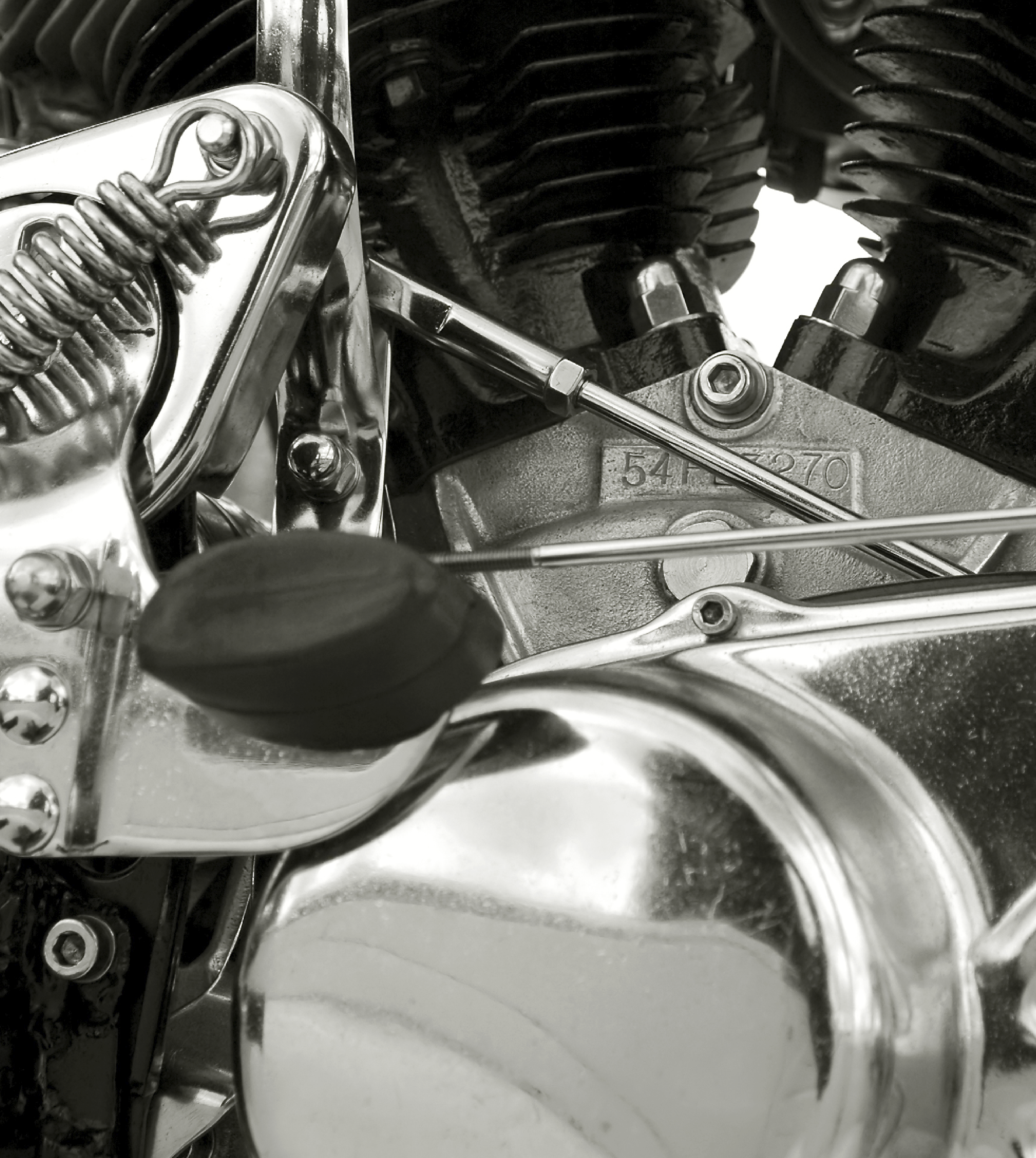 HOMOLOGACIONES MAPACHE, QUÉ SON?